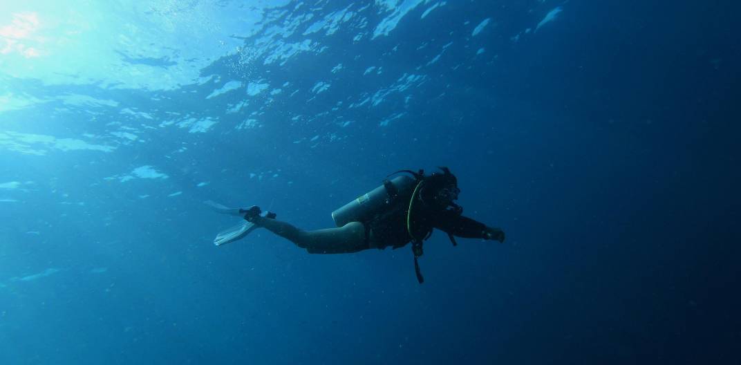 Un plongeur nage dans les eaux turquoise des Caraïbes