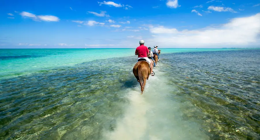 Horse riders walking in clear shallow water.
