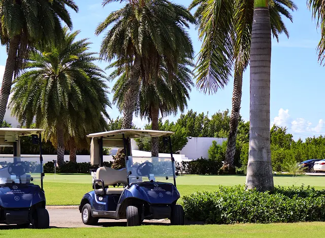Golf carts parked under palm trees.