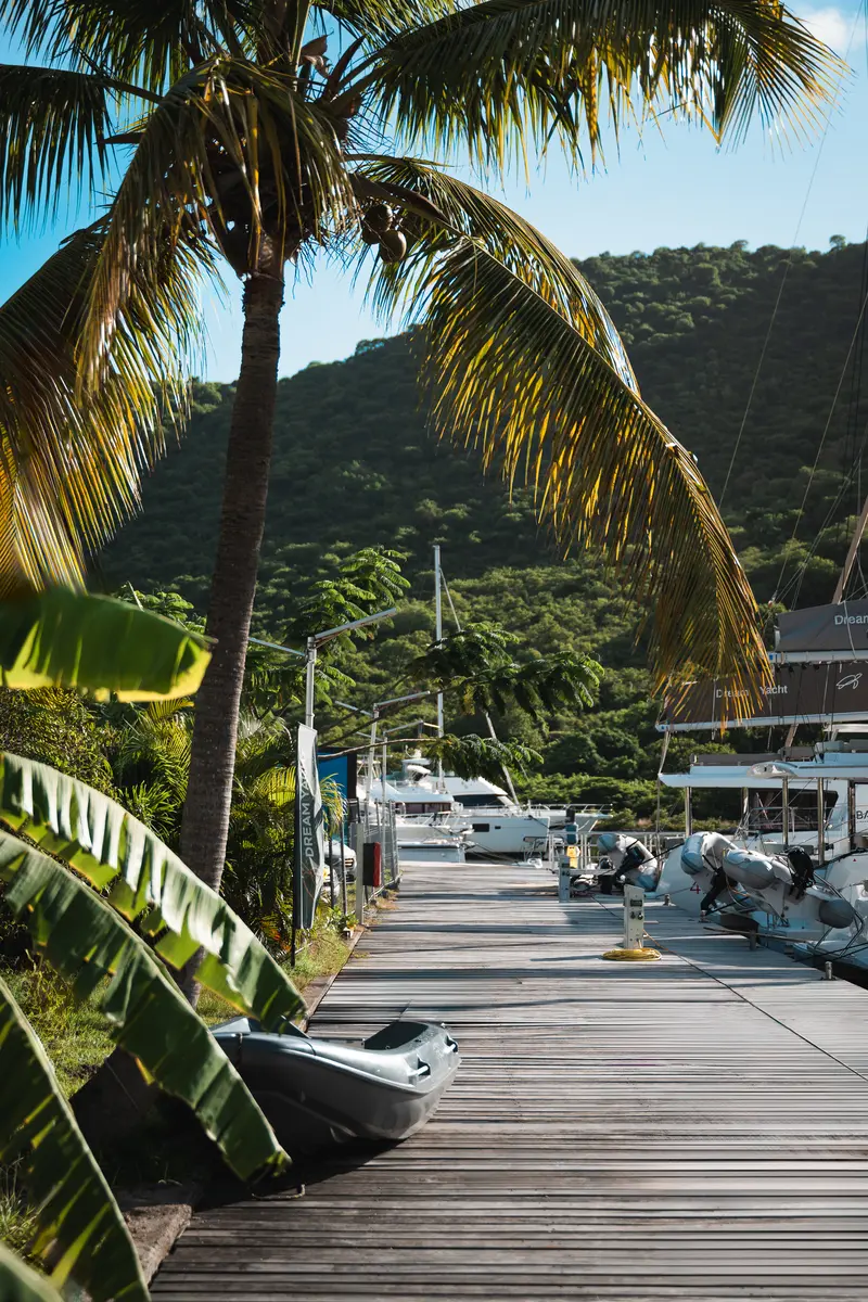 Wooden pontoon of the Anse Marcel marina under palm trees.