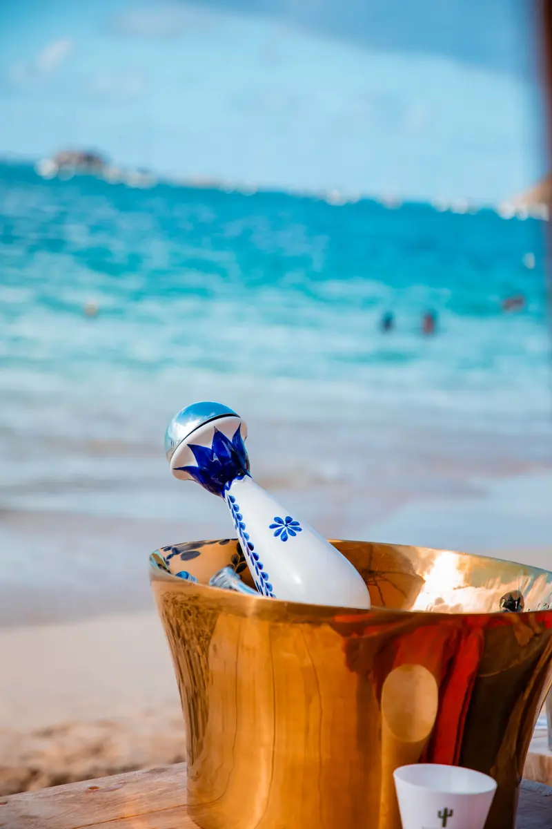 Bottle in an ice bucket on the beach.