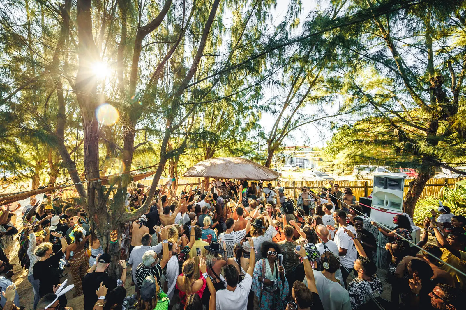 Crowd dancing under the trees at sunrise.